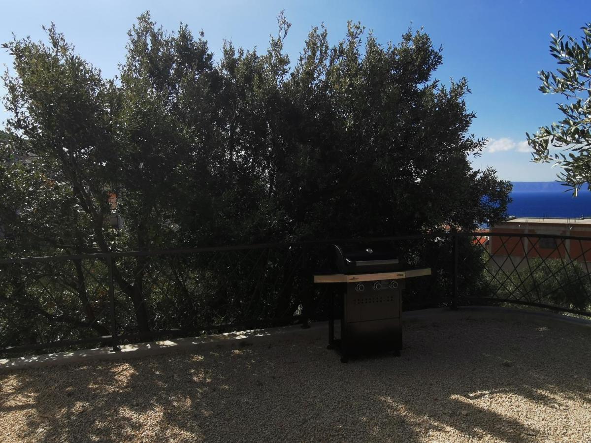 Villa Oleana Makarska Exterior photo
