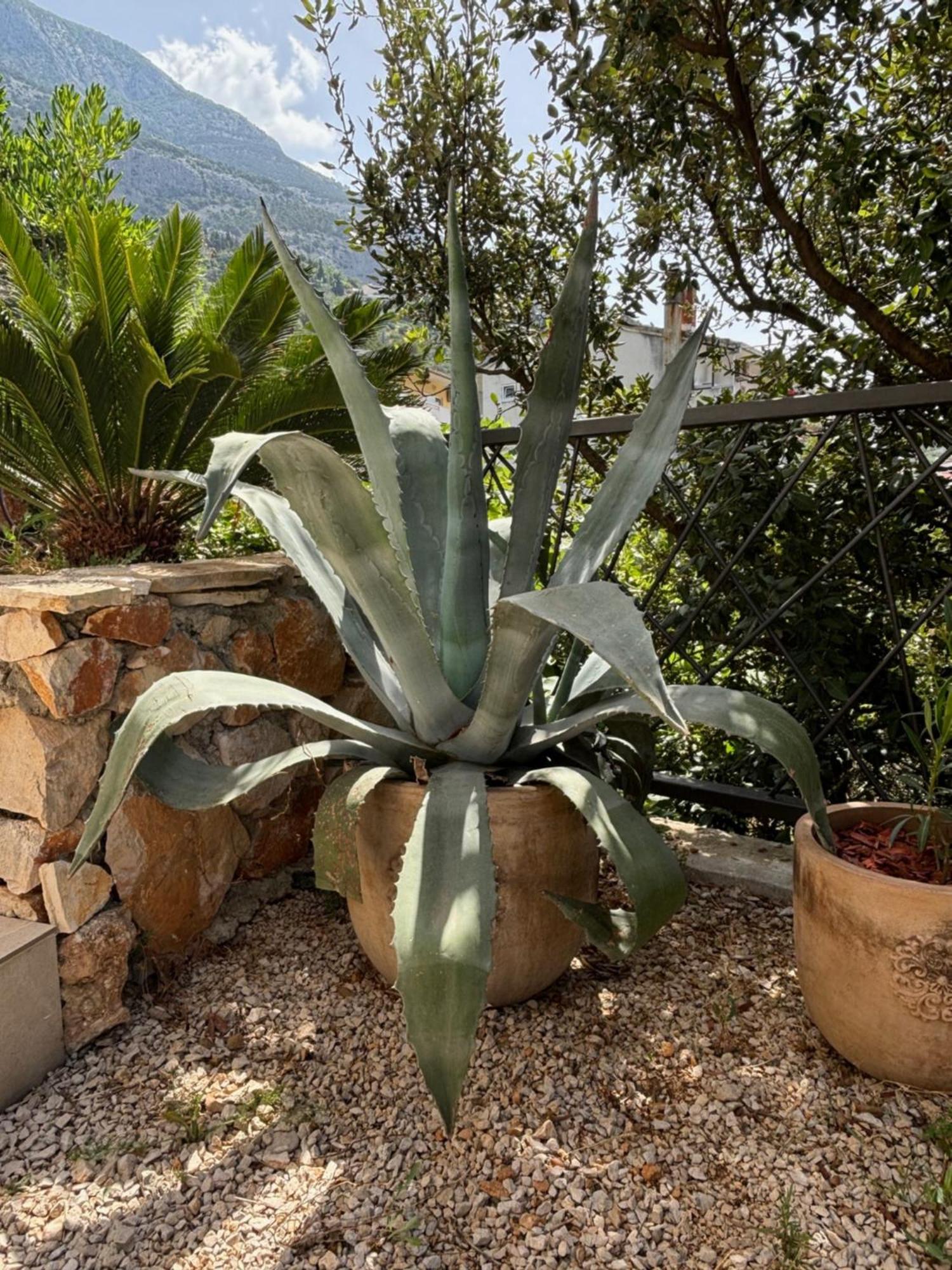 Villa Oleana Makarska Exterior photo